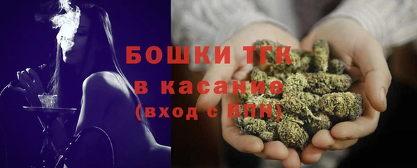 сатива Козельск