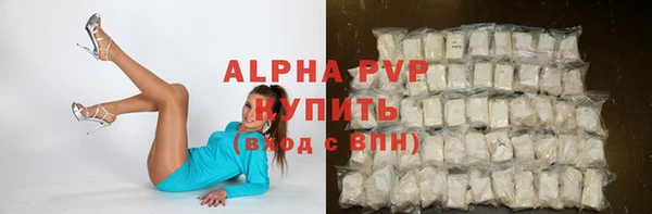 сатива Козельск