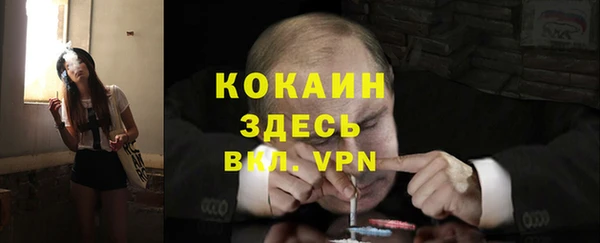 прущие крисы Киренск
