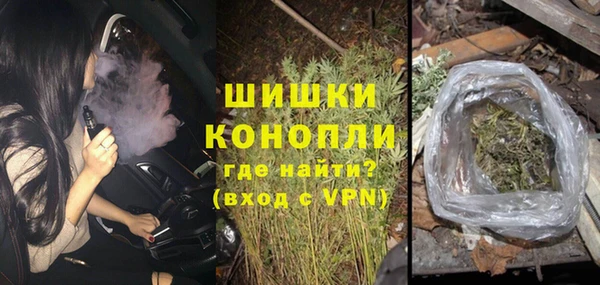 сатива Козельск