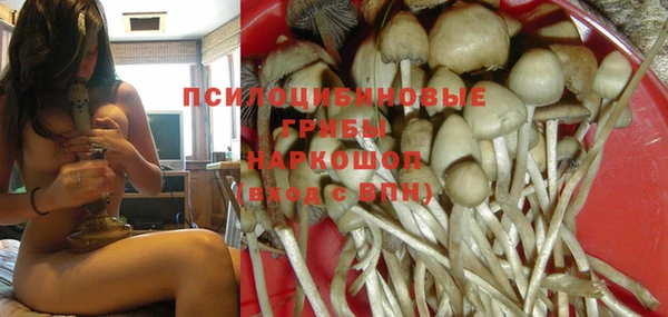 скорость Карталы