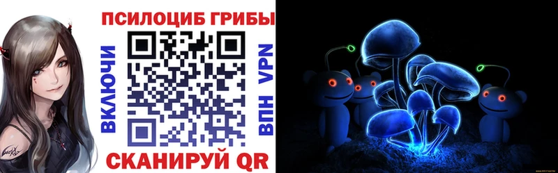 Купить где Похвистнево Псилоцибиновые грибы MAGIC MUSHROOMS